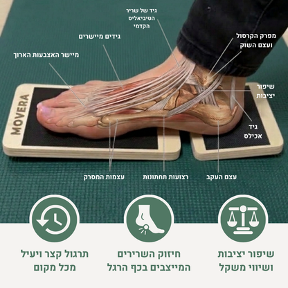 MOVERA ANKLE לוח יציבות לחיזוק השרירים המייצבים ומתיחת הקרסול וכף הרגל ,אימון ממוקד לשרירי כף הרגל במקרי נקעים,דורבן ועקב אכילס